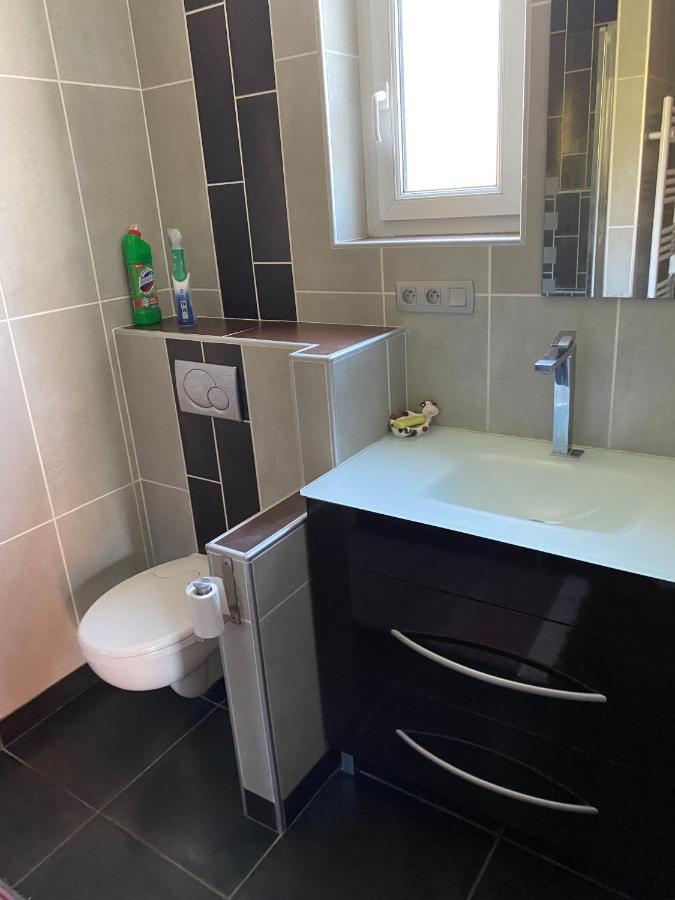 Appartement 14 Couchages Vallee Du Gresivaudan La Buissiere  ภายนอก รูปภาพ